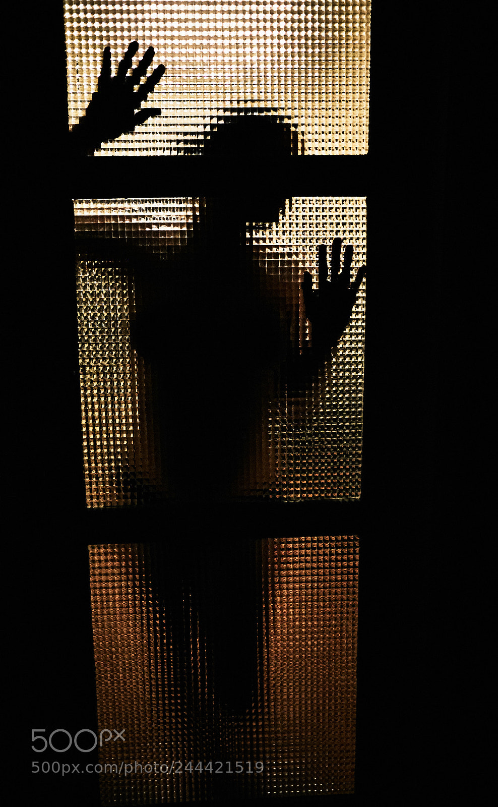 Fujifilm X-T10 sample photo. Trapped #01 photography