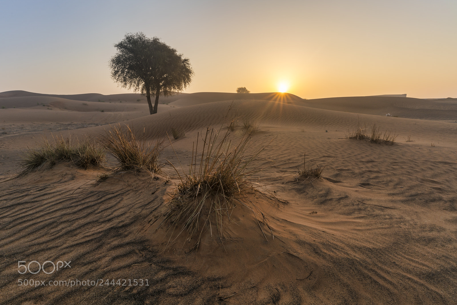 Sony a7R II sample photo. Sharjah 1 photography