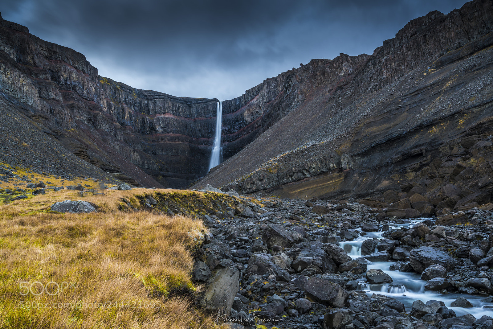 Sony a7R II sample photo. Hengingoss close jpeg (of ) photography