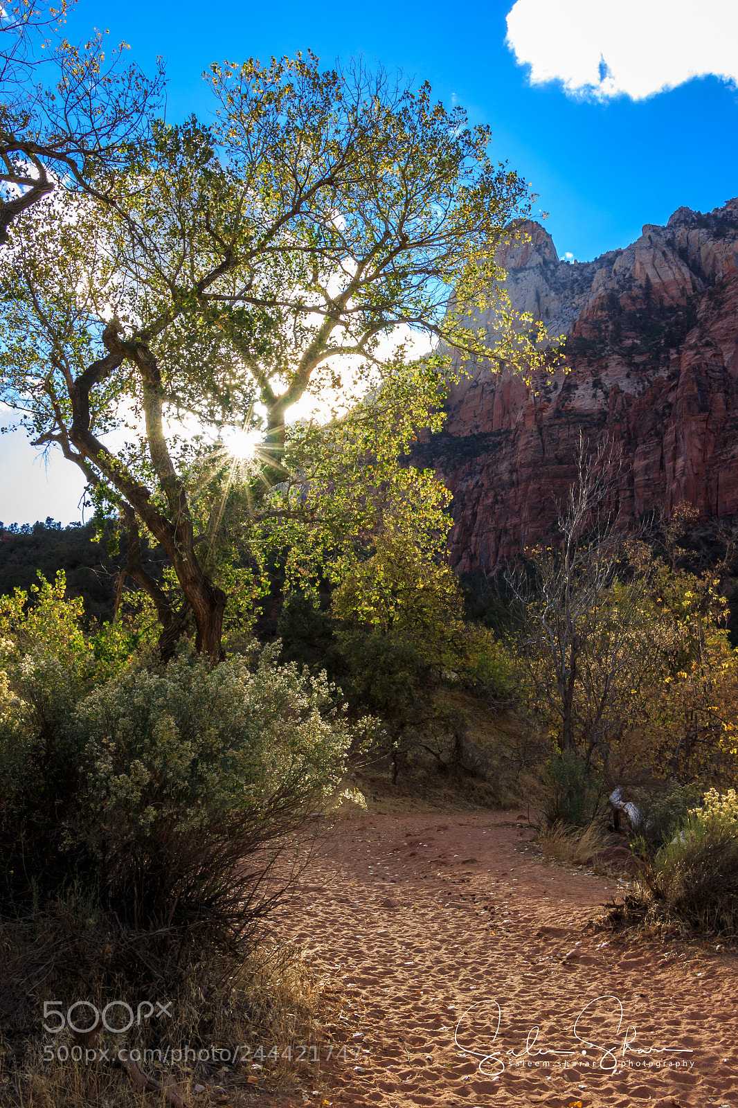 Canon EOS 700D (EOS Rebel T5i / EOS Kiss X7i) sample photo. This is zion... photography