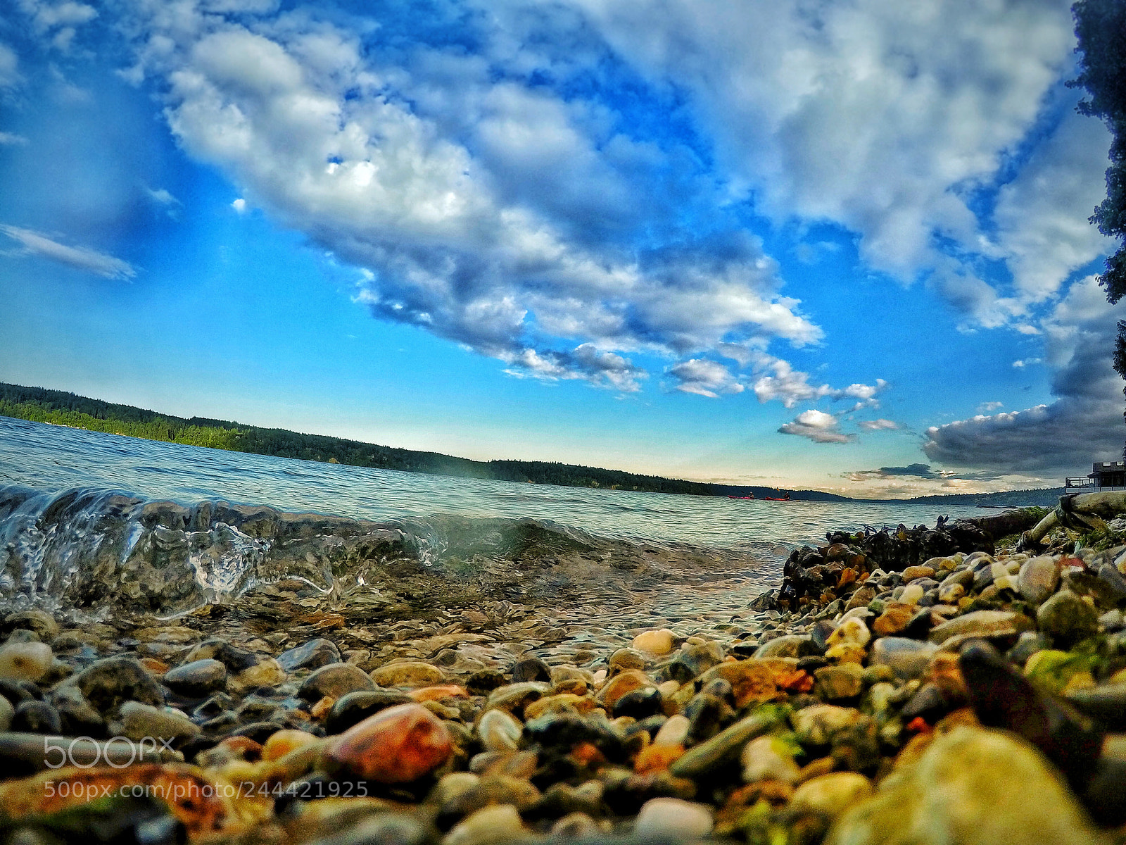 GoPro Hero5 Black sample photo. My forever passion photography