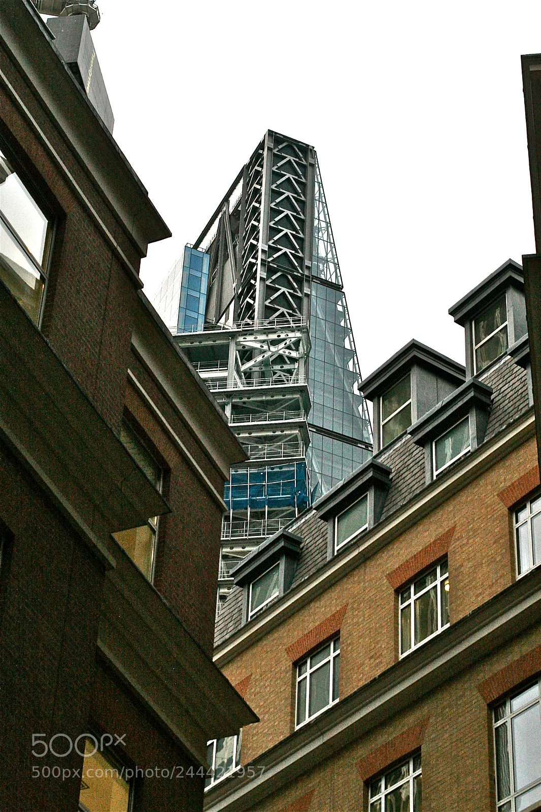 Canon EOS 30D sample photo. Cheese grater contrasts photography