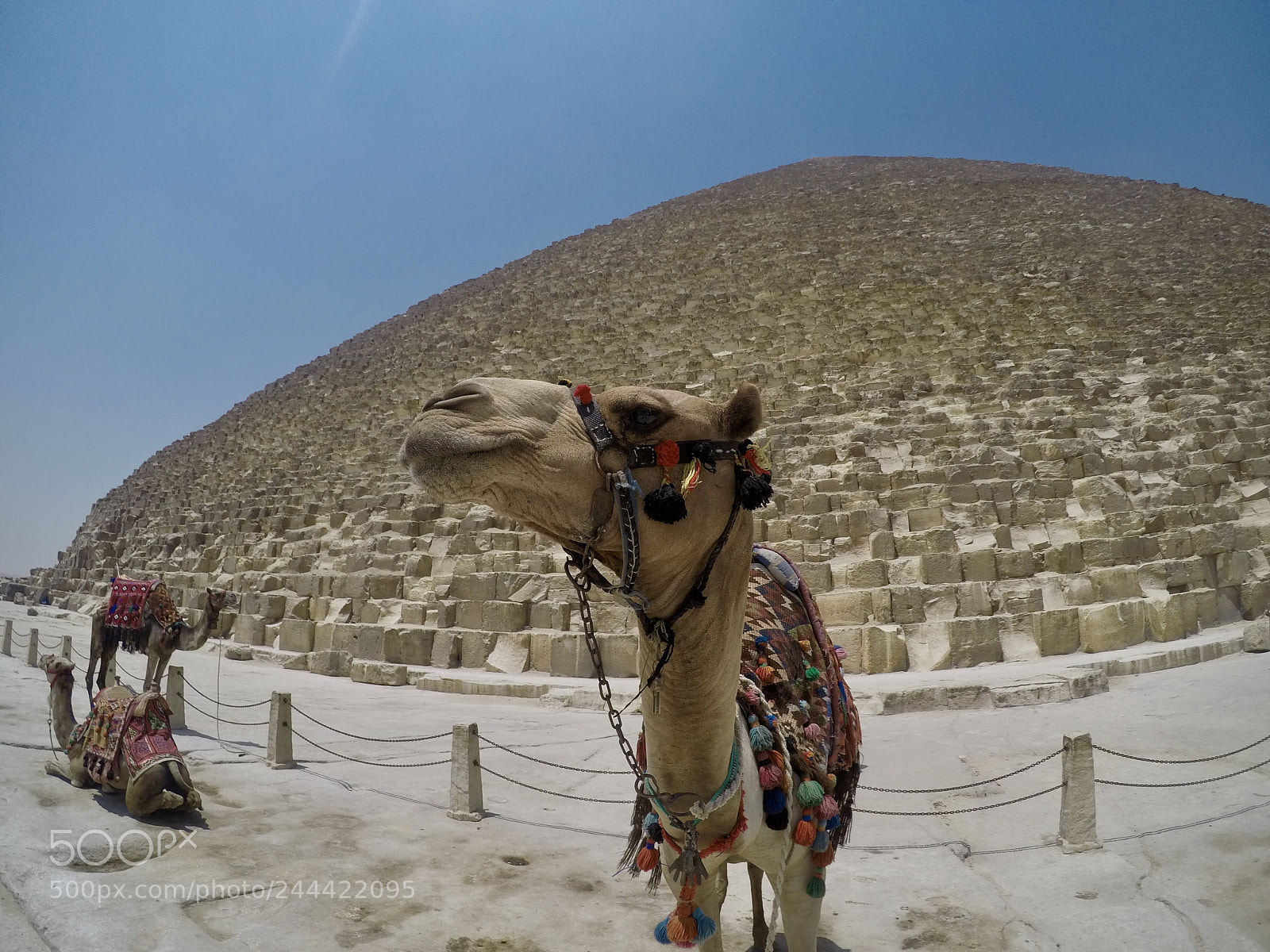 GoPro Hero5 Black sample photo. ? photography