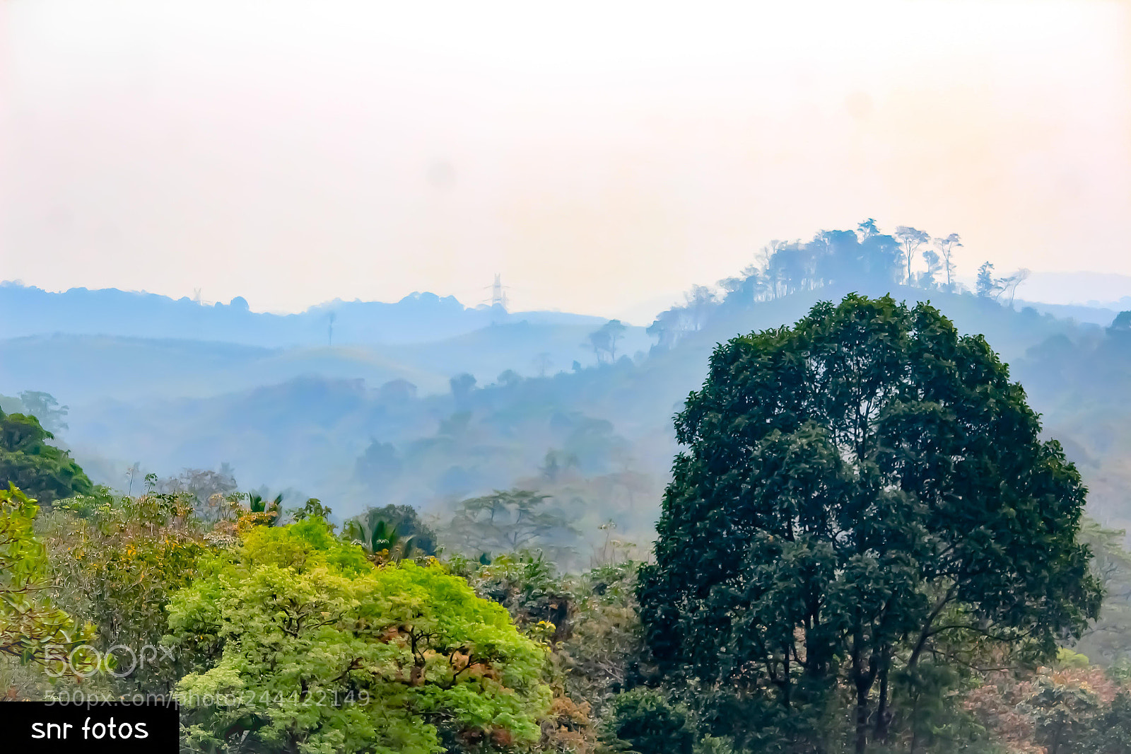 Canon EOS 1200D (EOS Rebel T5 / EOS Kiss X70 / EOS Hi) sample photo. A misty morning photography