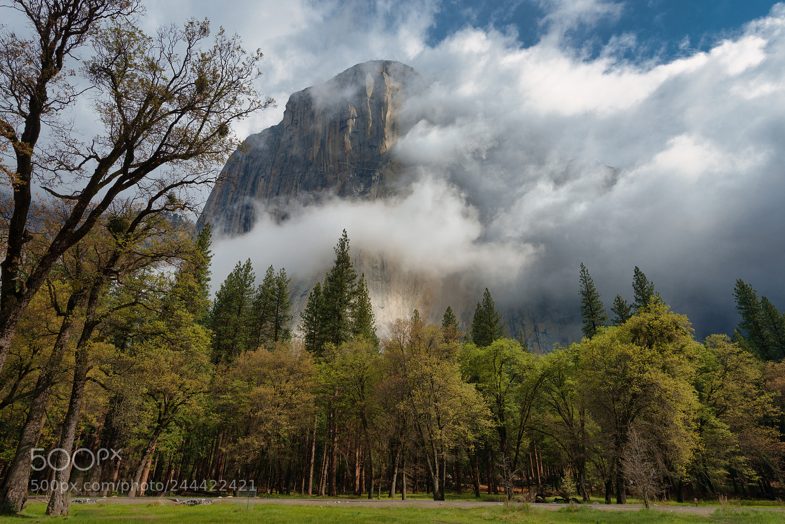 Nikon D800E sample photo. Majestic photography