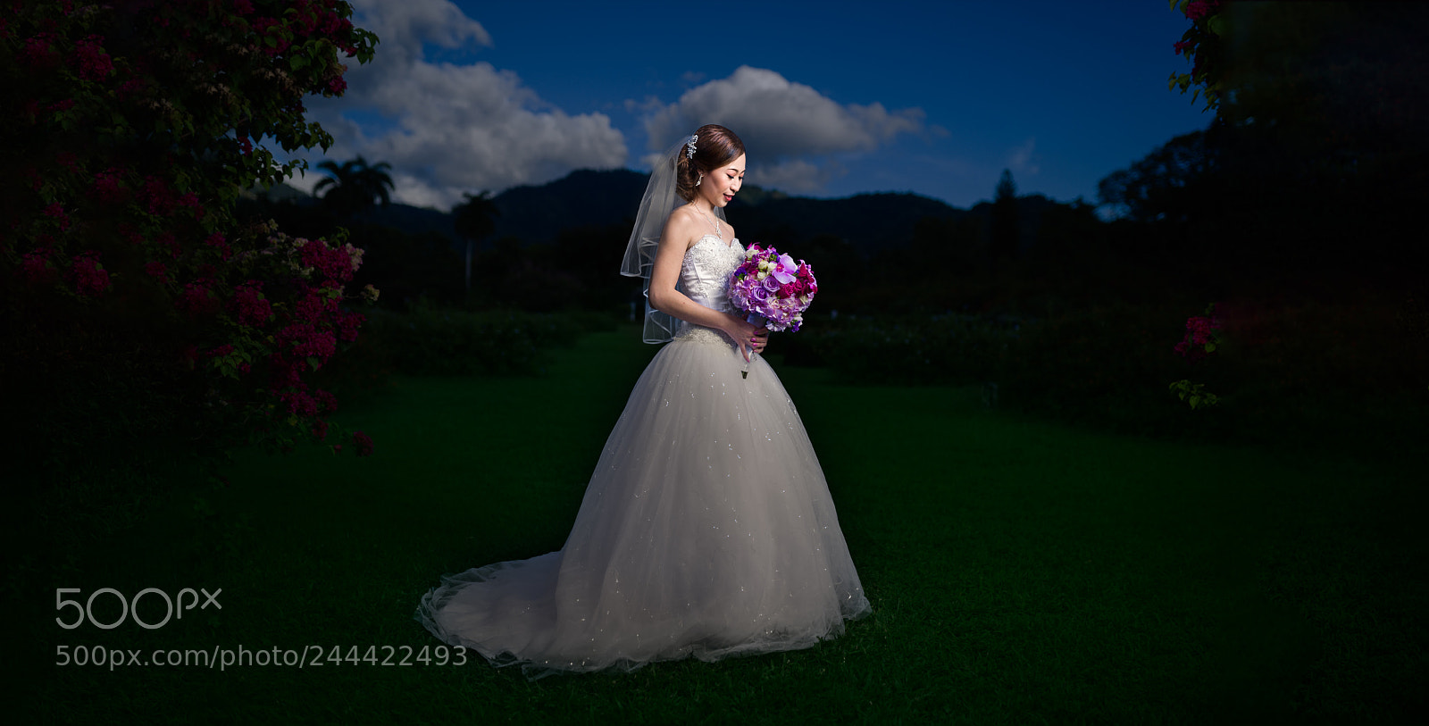 Sony a9 sample photo. The bride photography