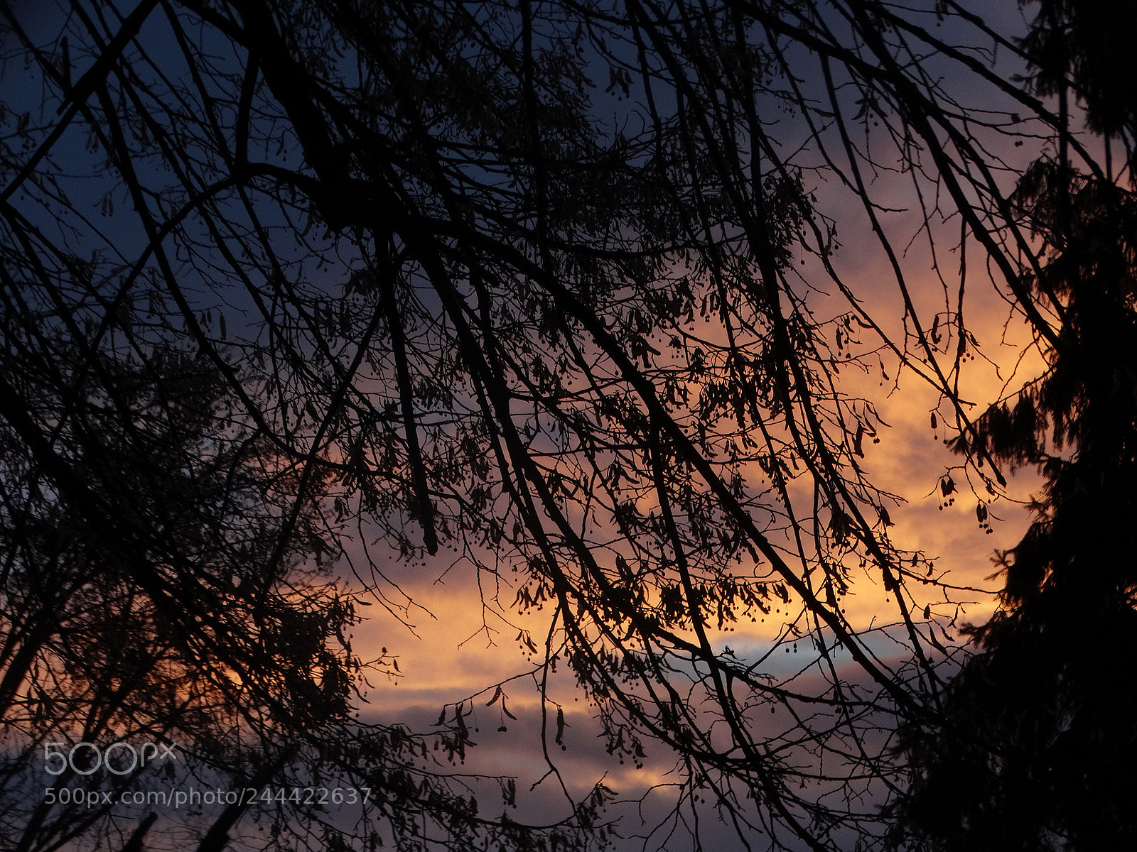 Sony Cyber-shot DSC-HX300 sample photo. Sunset in eastern washington photography