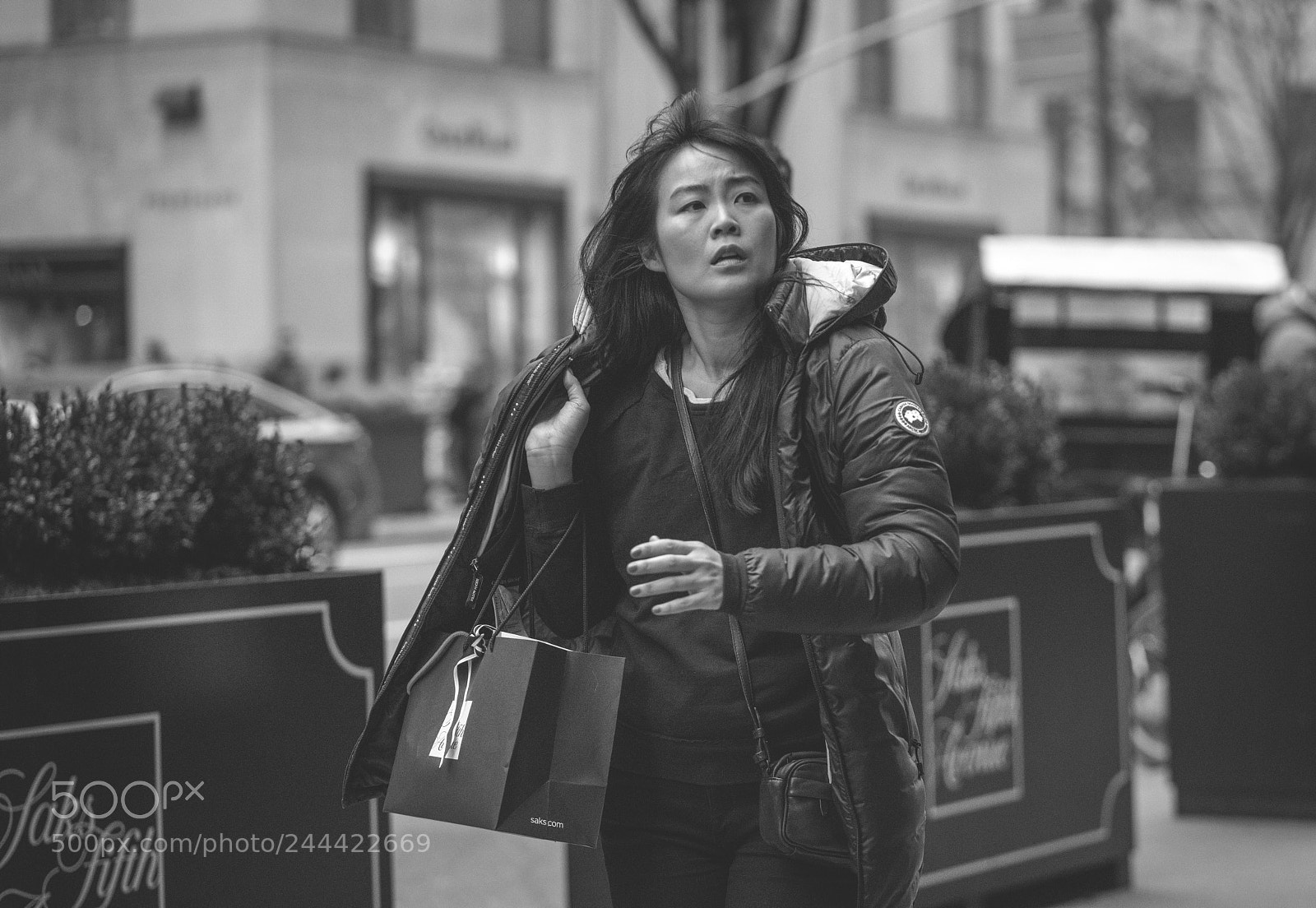 Sony a7R II sample photo. Untitled photography