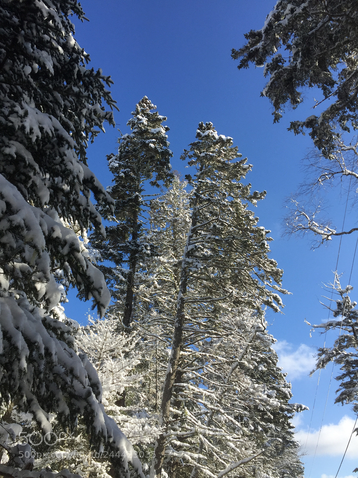 Apple iPhone 6 sample photo. Blue sky photography