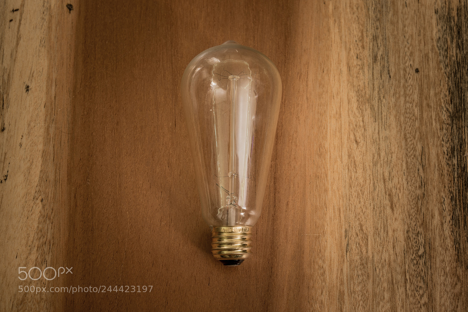 Nikon D610 sample photo. 8397 2018.jpg photography
