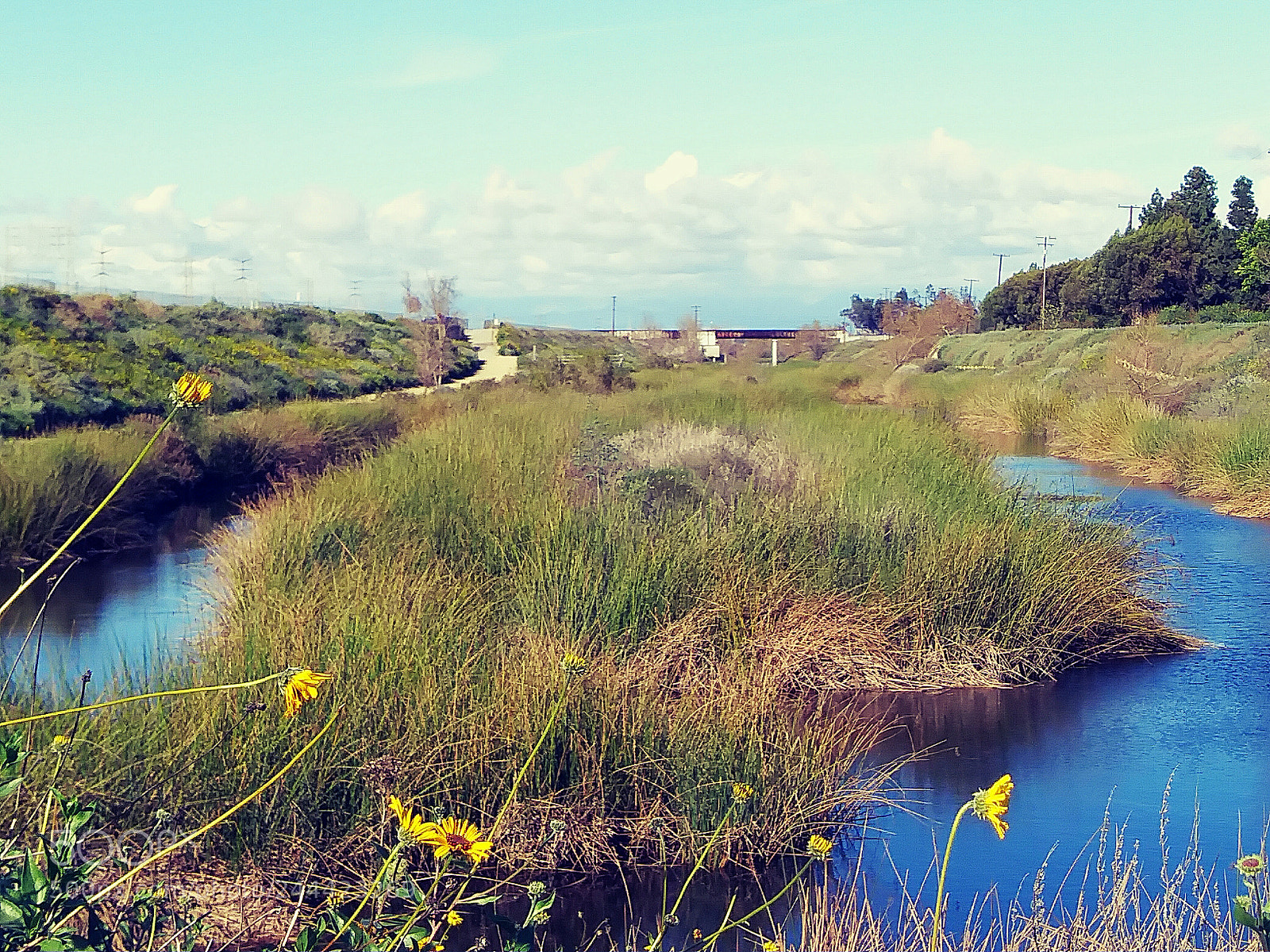 LG K20 PLUS sample photo. Dominguez gap wetlands photography