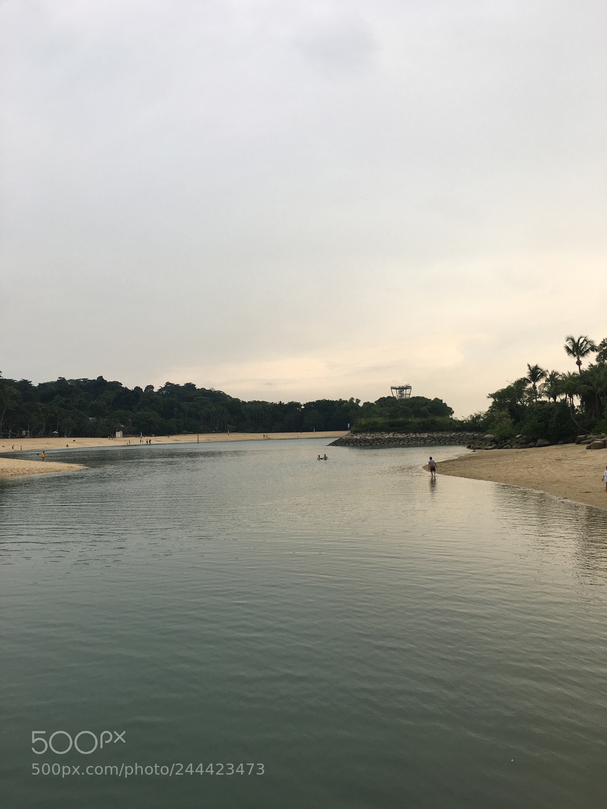 Apple iPhone 6s Plus sample photo. Dfdcc ca de photography