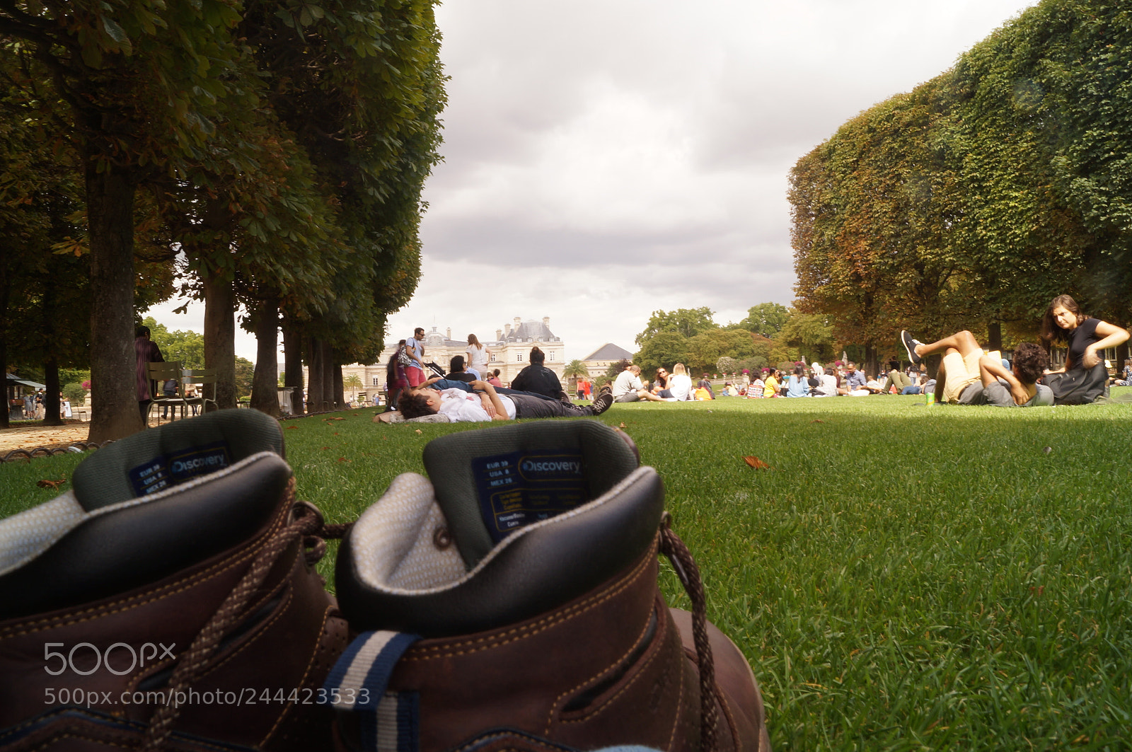 Sony SLT-A37 sample photo. Untitled photography