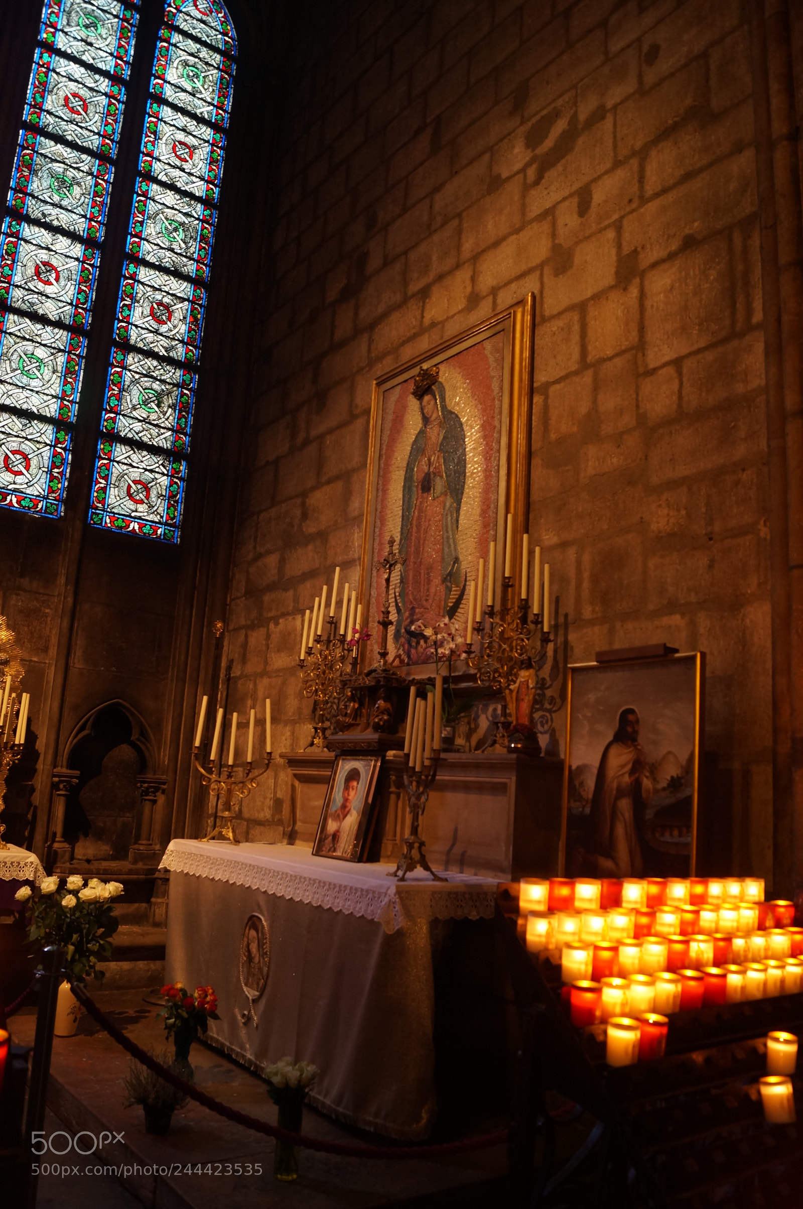 Sony SLT-A37 sample photo. Untitled photography