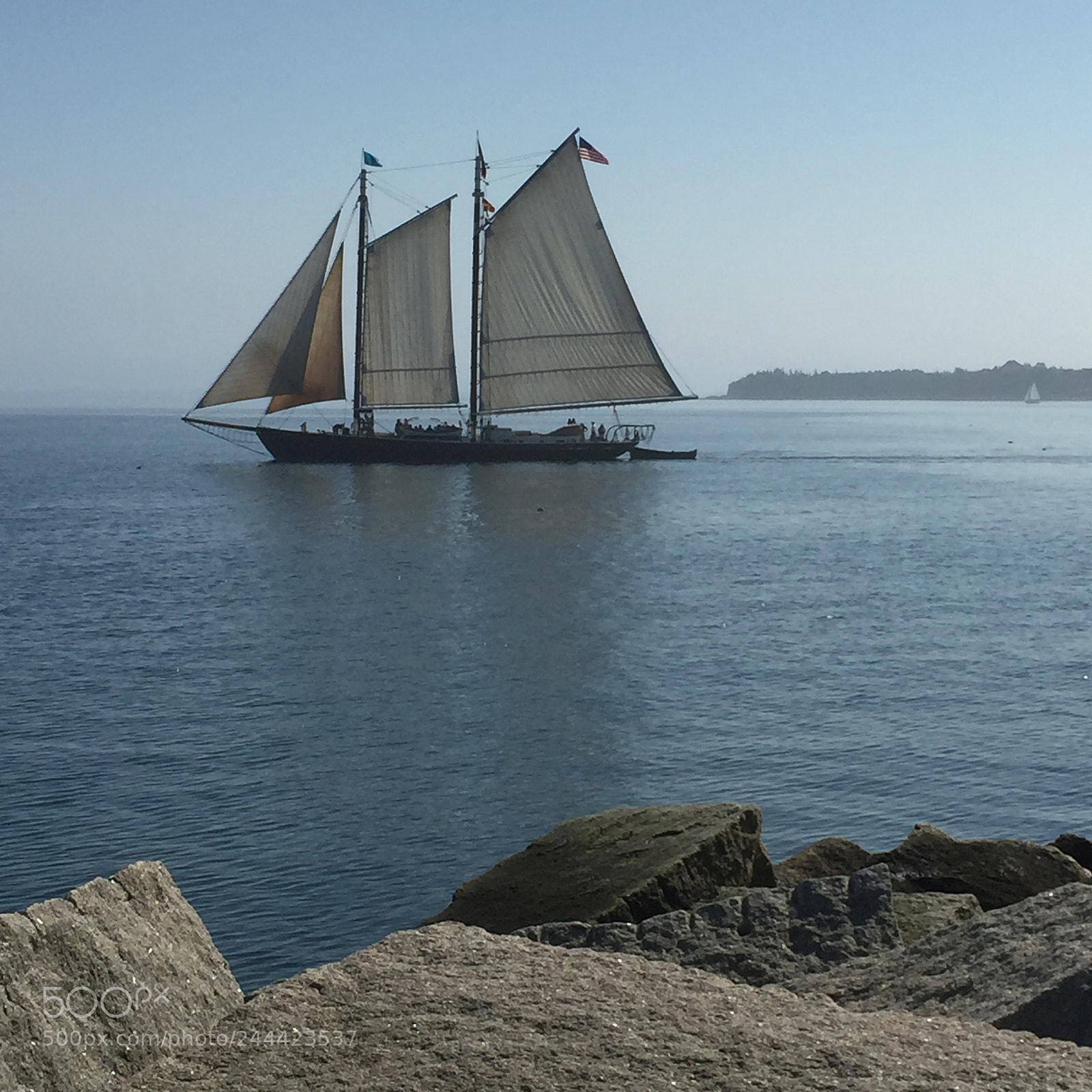 Apple iPhone 6 sample photo. The sail in maine photography
