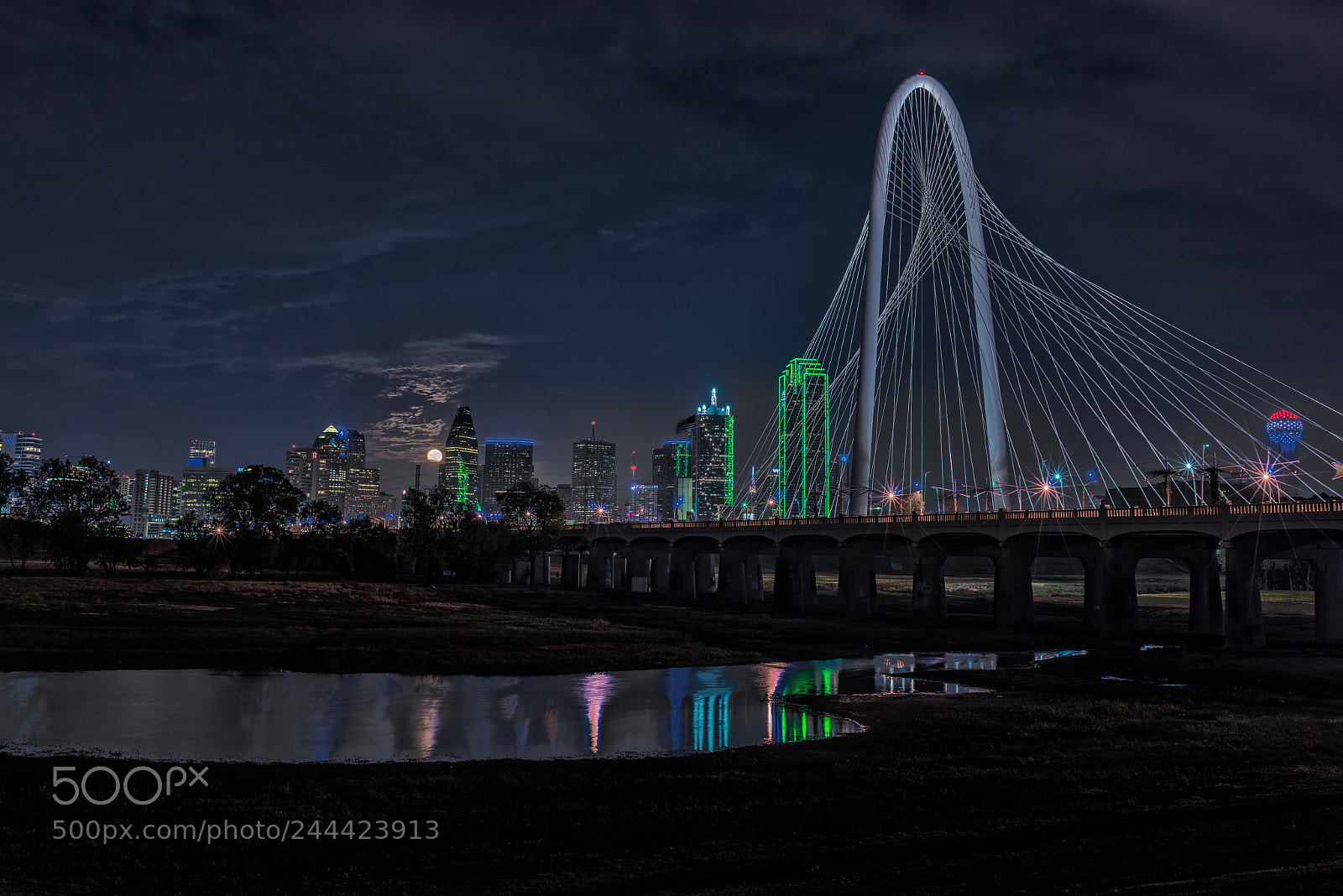 Nikon D810 sample photo. Moonrise over dallas photography