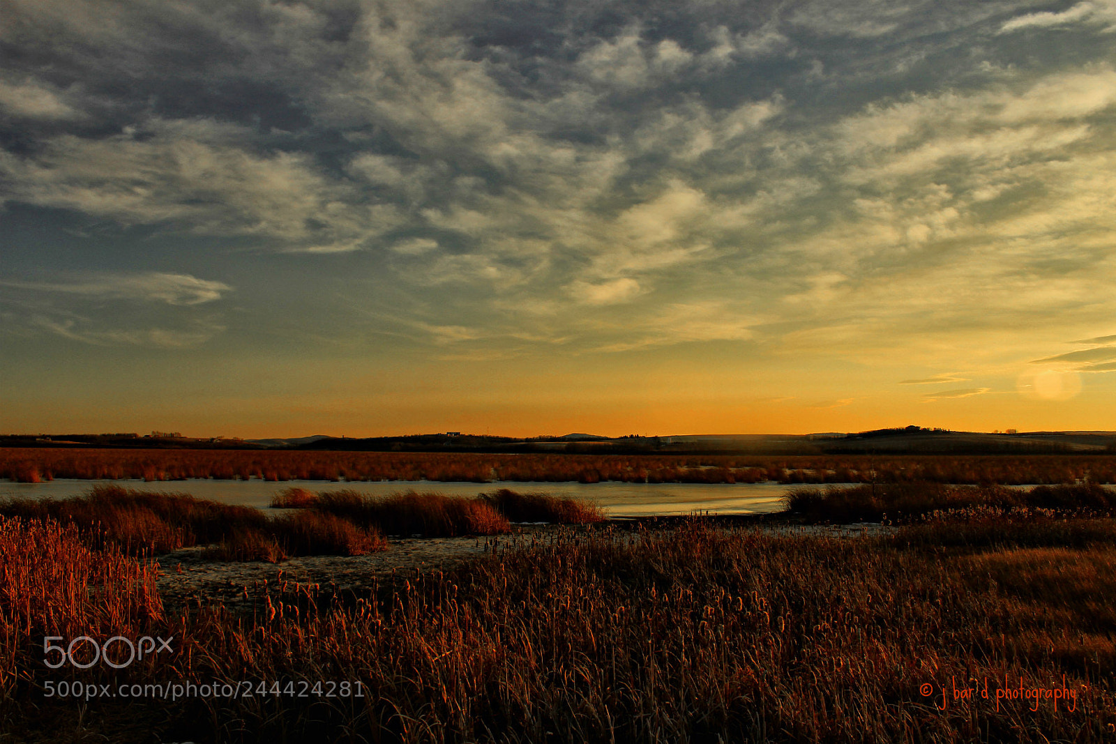 Canon EOS 60D sample photo. Lloyd park sunset photography