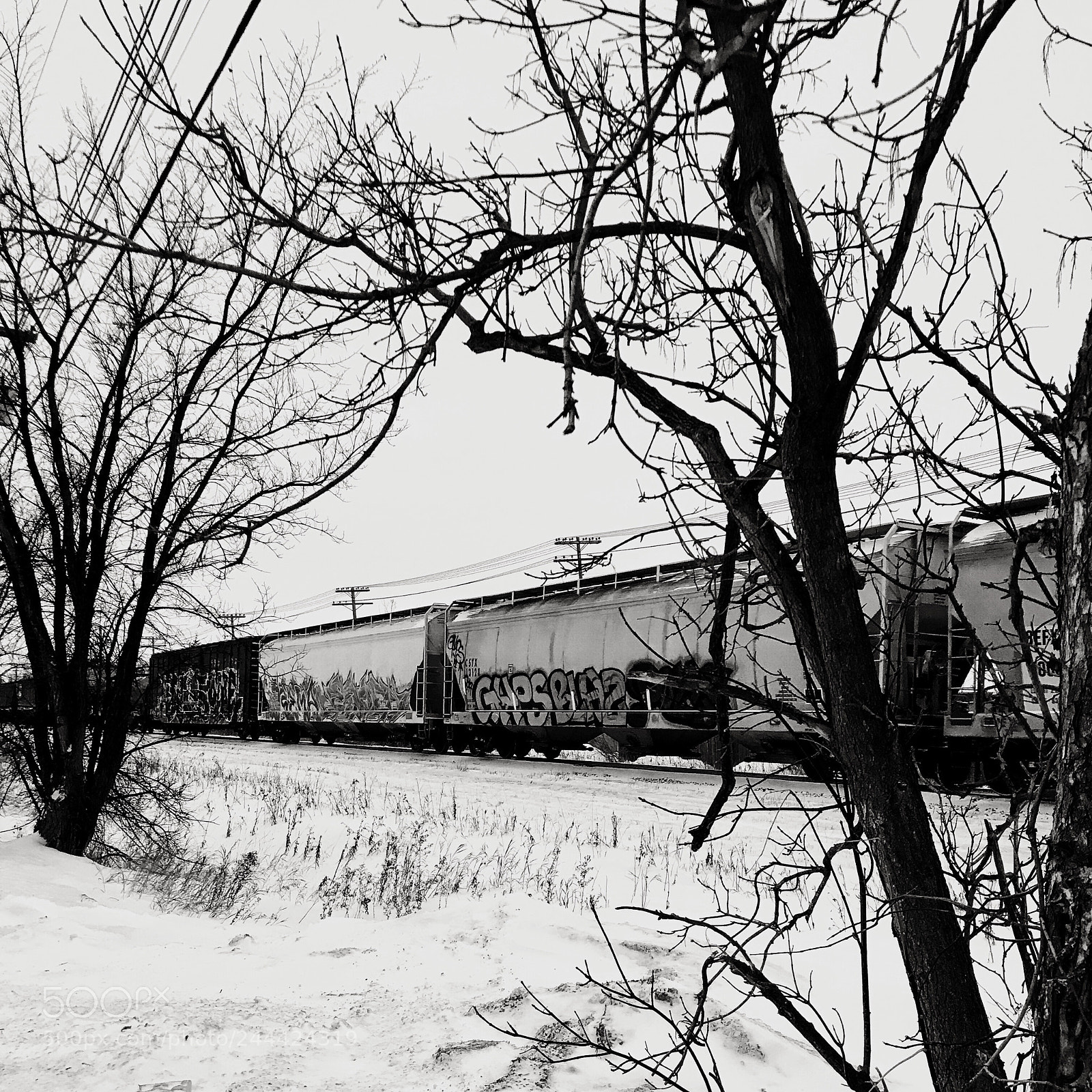 Apple iPhone 7 Plus sample photo. Freight train photography