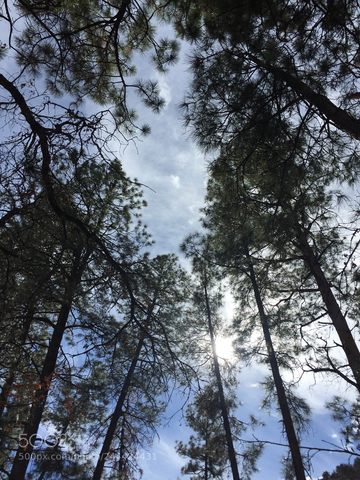 Apple iPhone 6 sample photo. Los alamos photography