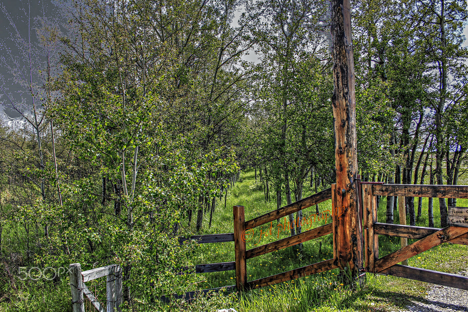Canon EF-S 18-55mm F3.5-5.6 II sample photo. (c) j bar d f structure photography
