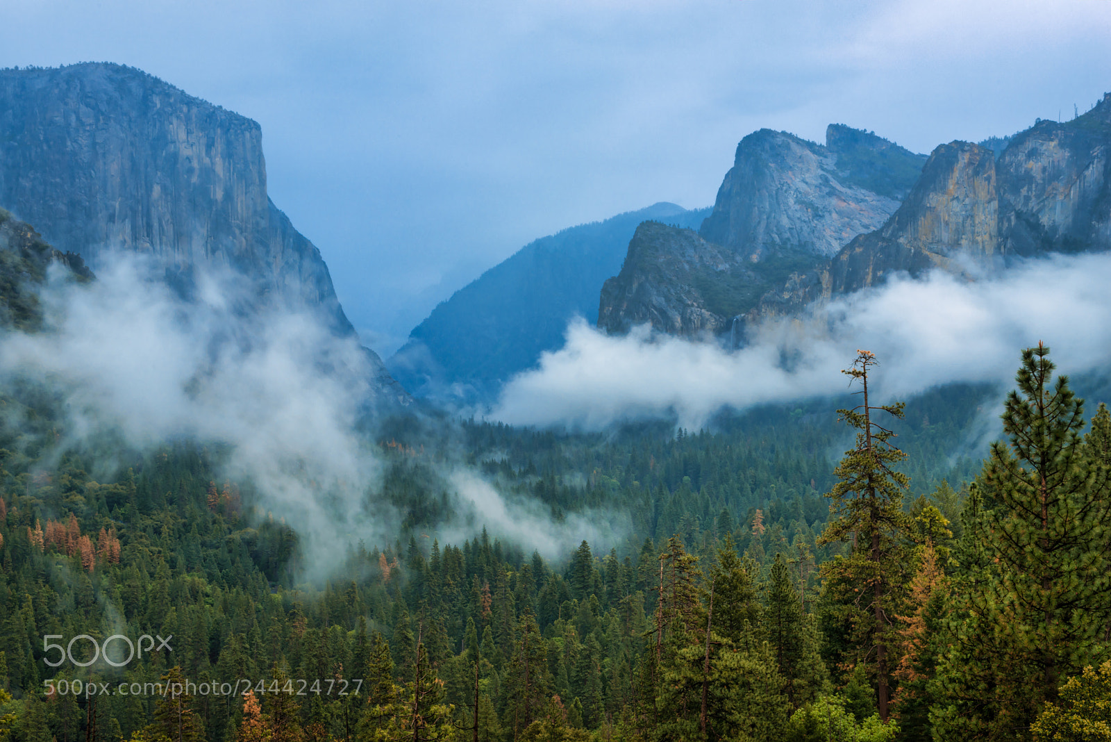Nikon D800E sample photo. Misty mountains photography