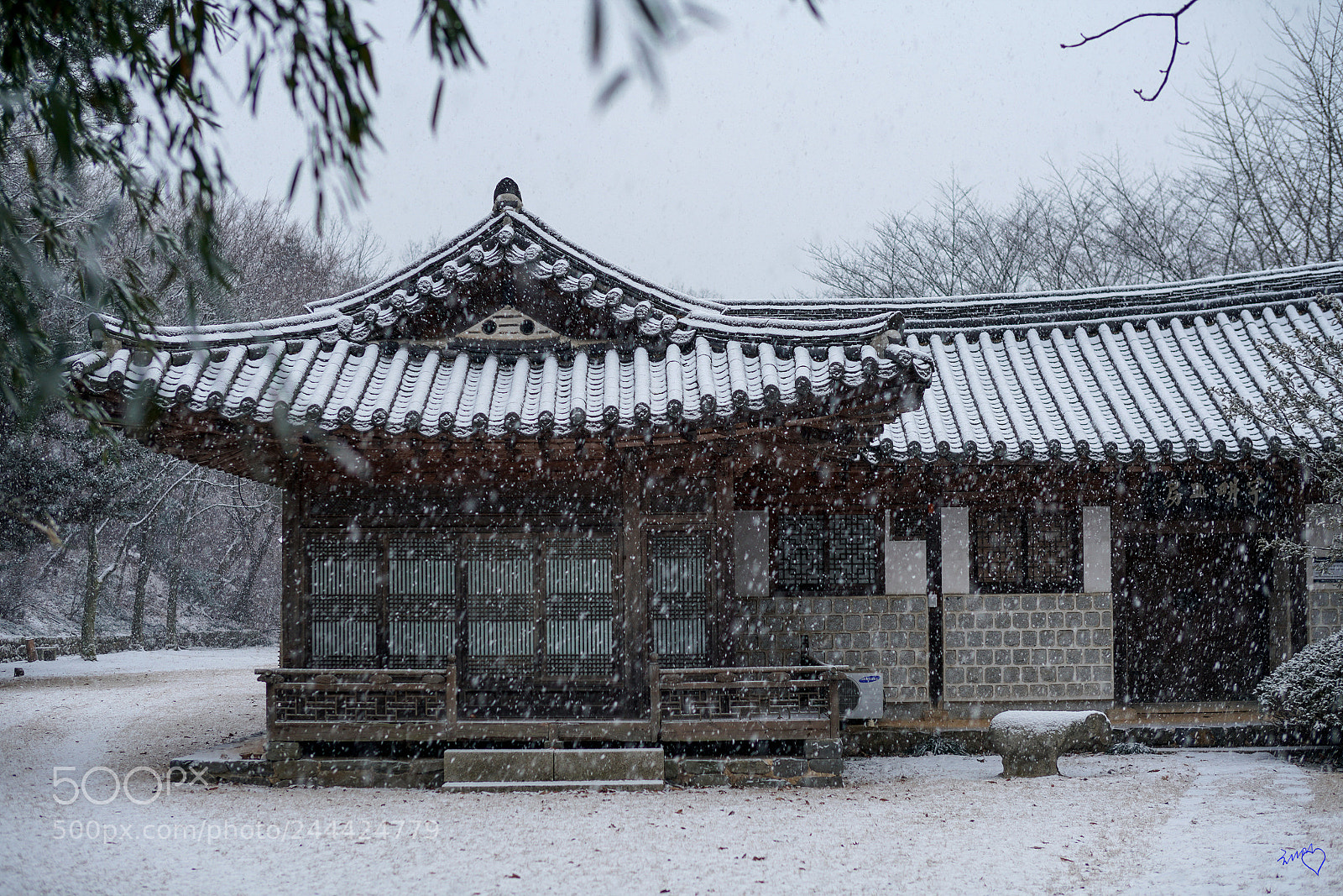 Sony a99 II sample photo. Snowing photography