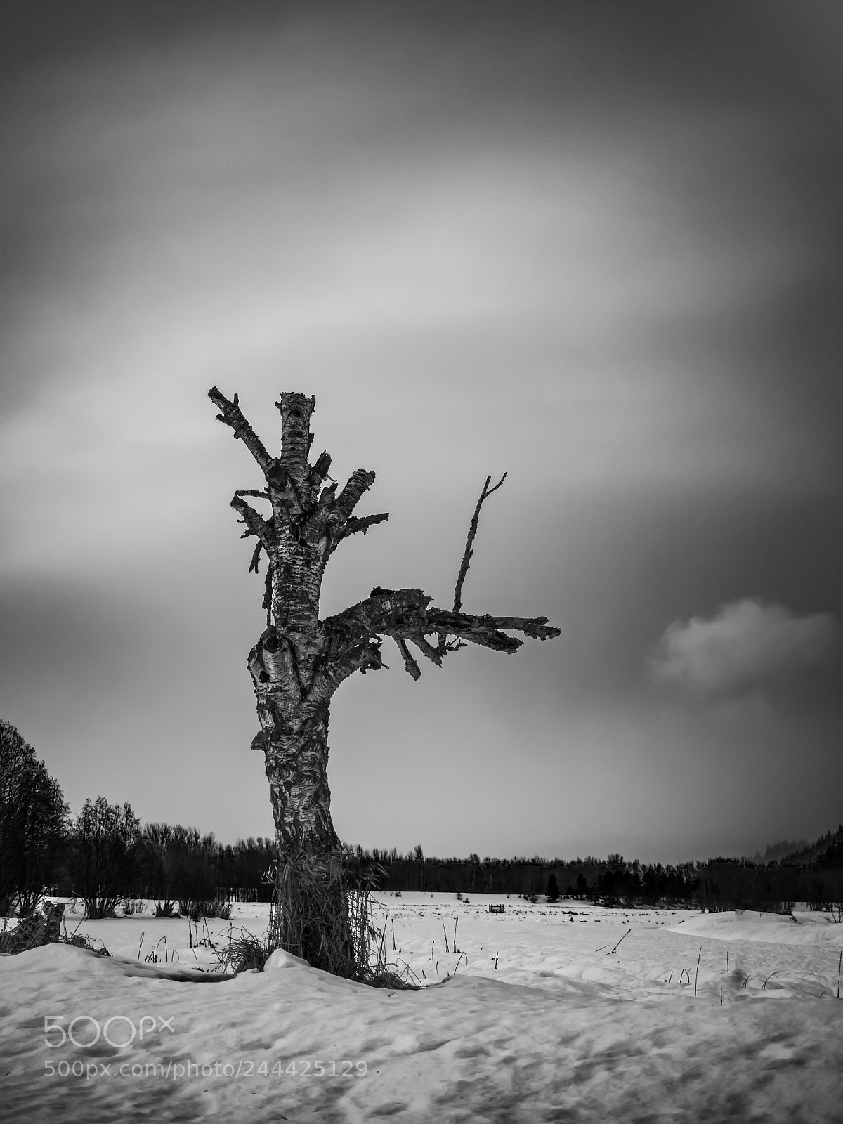 Olympus OM-D E-M5 II sample photo. Broken tower photography