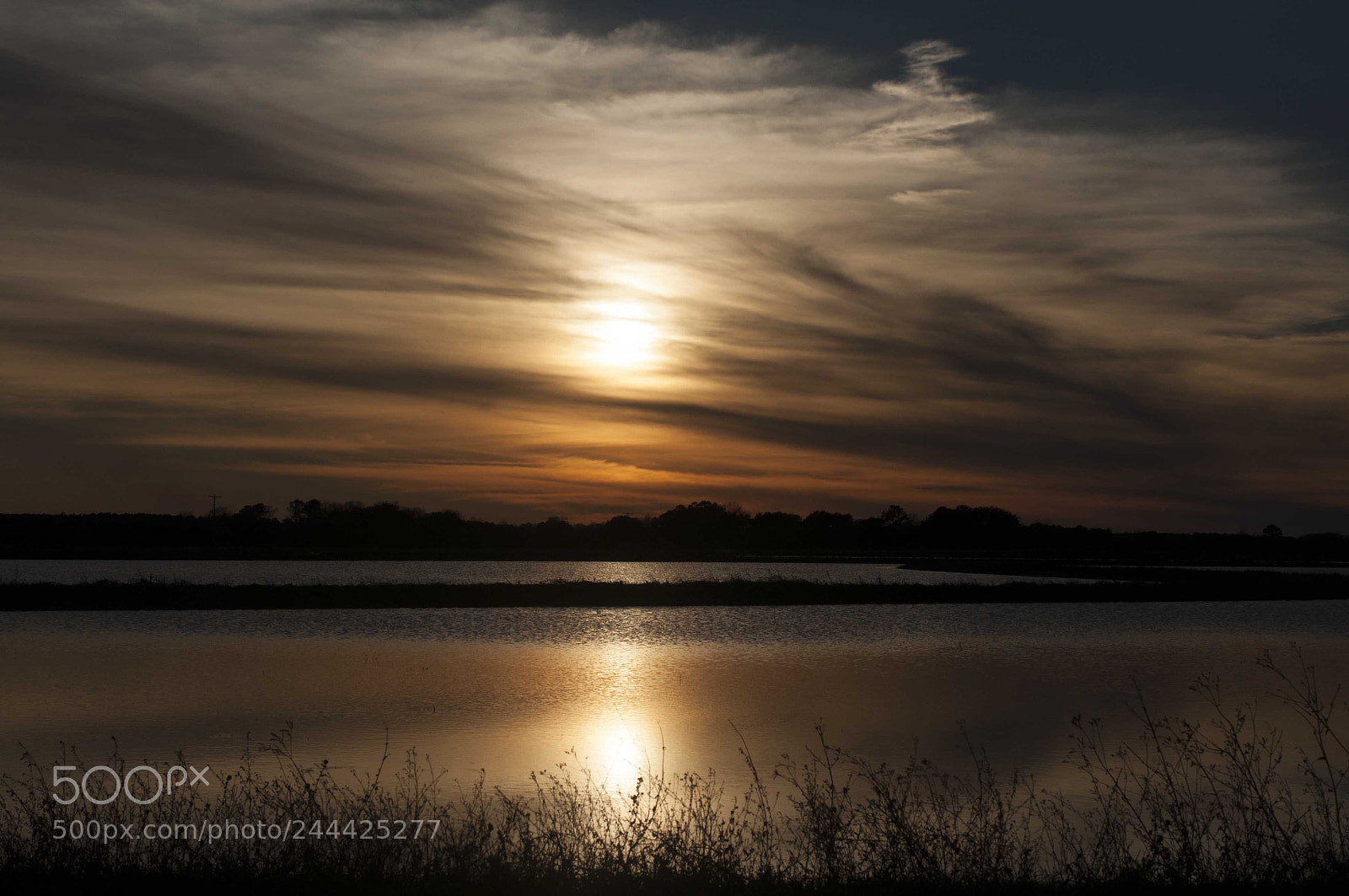 Nikon D90 sample photo. Southern evening drive photography