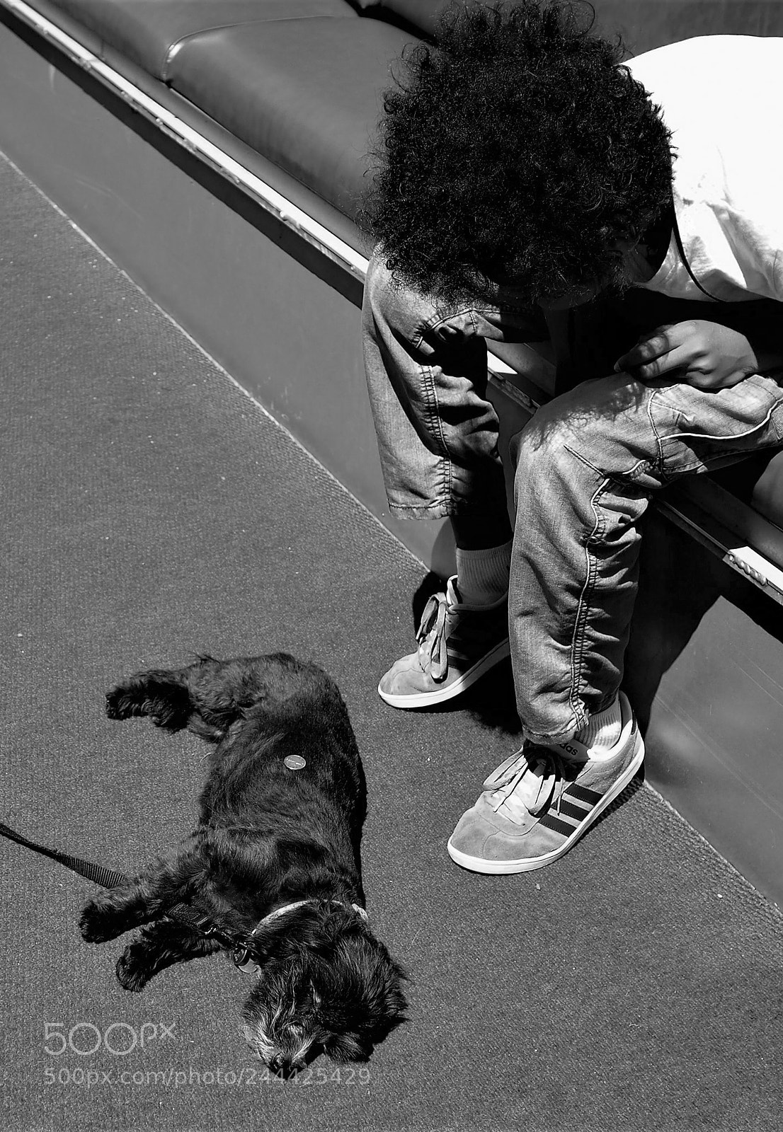 Olympus OM-D E-M10 II sample photo. Coin dog photography
