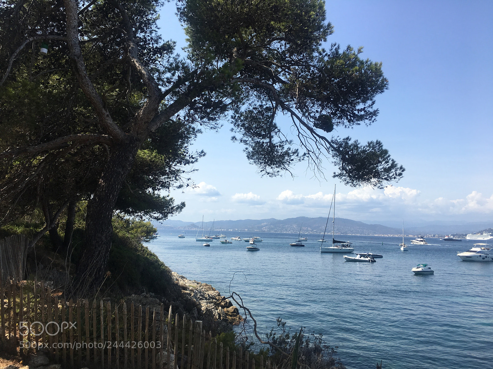 Apple iPhone 6s Plus sample photo. Img_2863.jpg photography