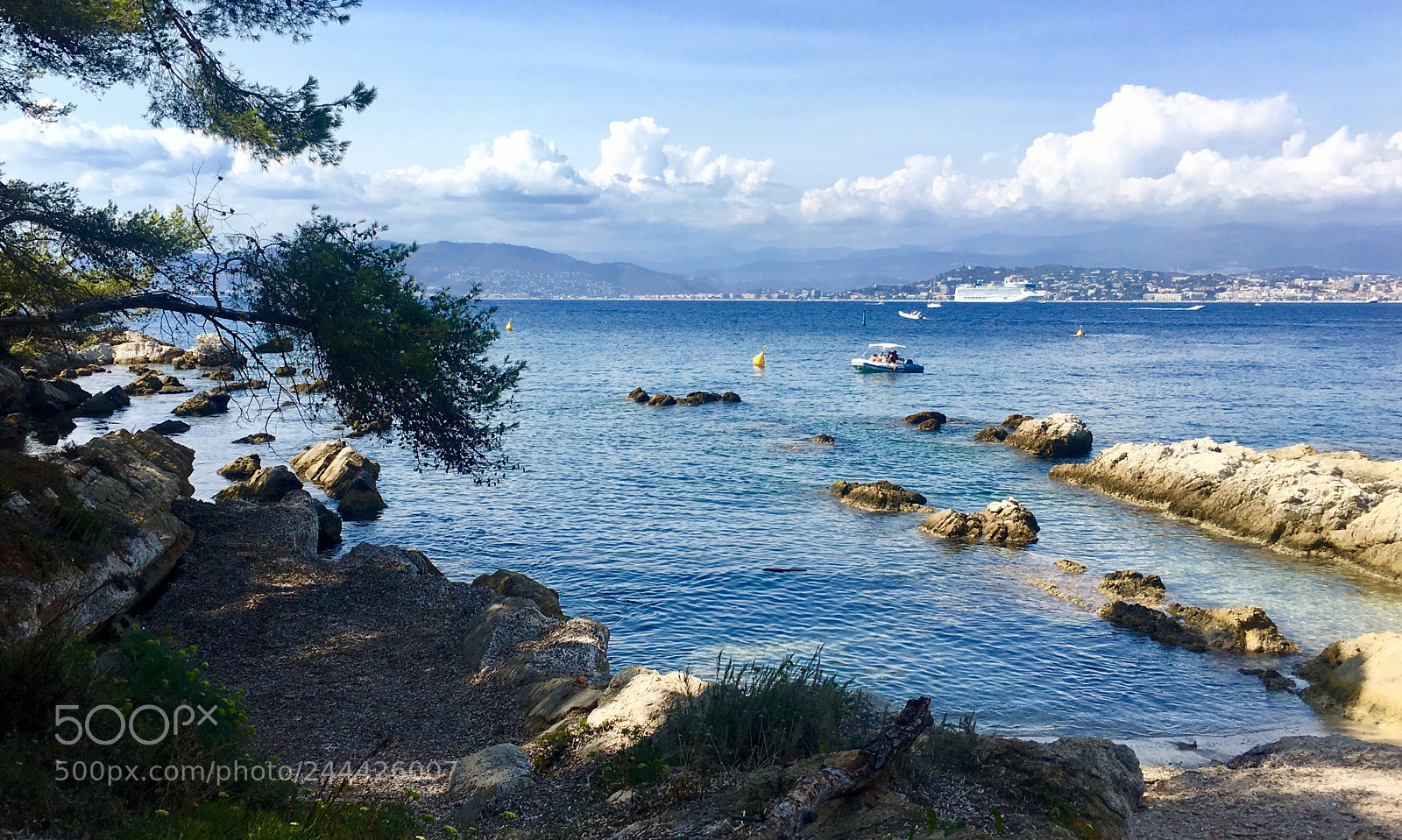 Apple iPhone 6s Plus sample photo. Img_2886.jpg photography
