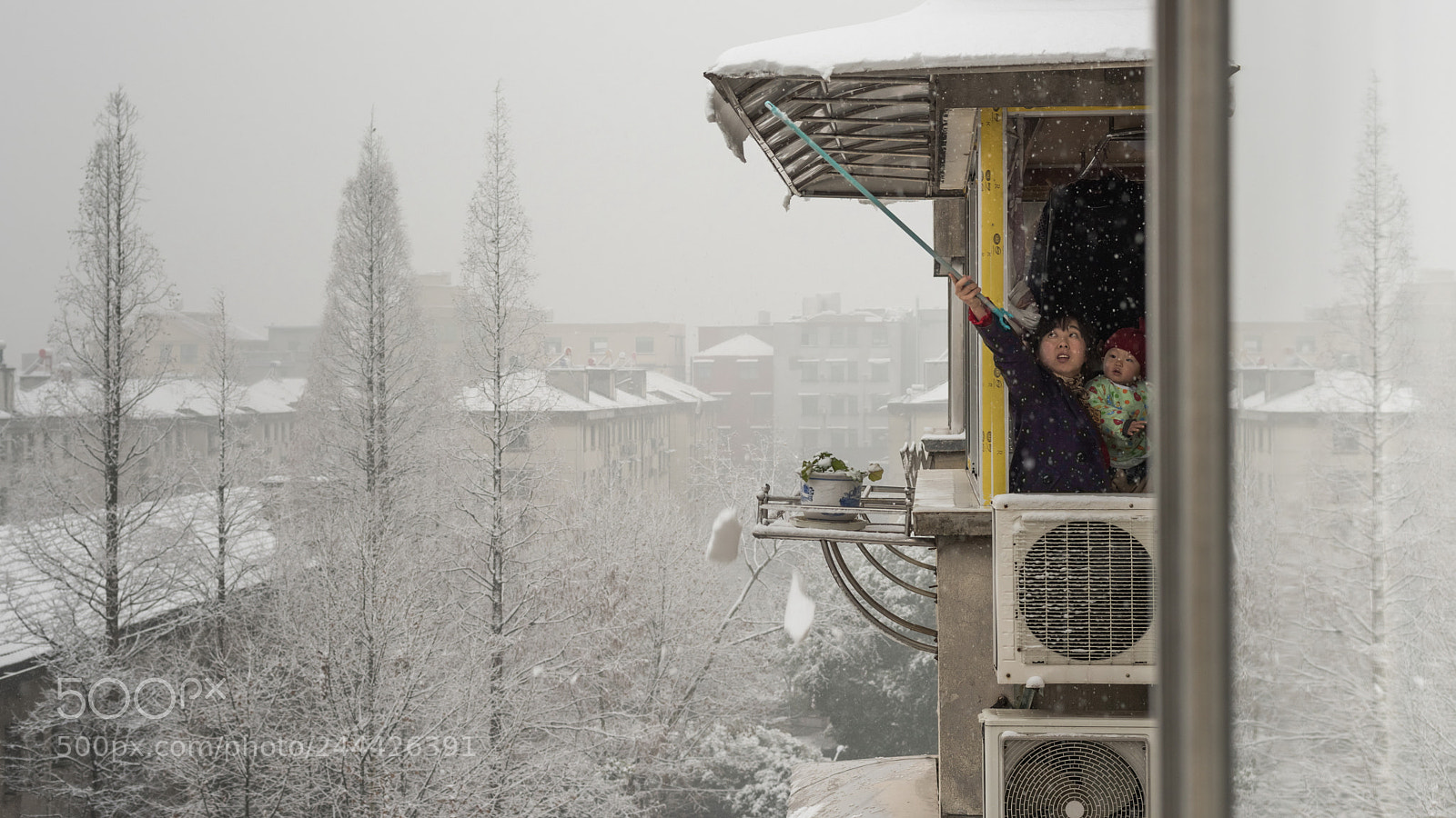 Nikon D810 sample photo. Fresh snow on campus photography