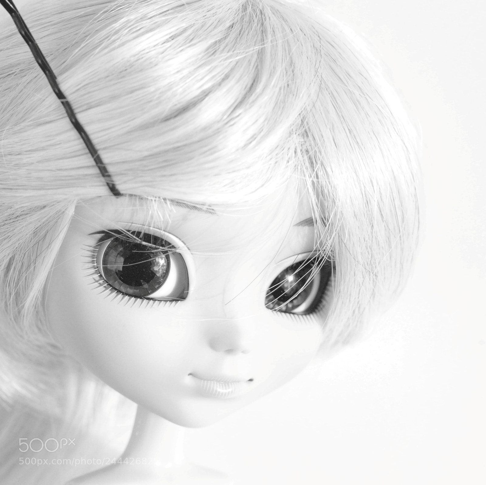 Nikon D700 sample photo. Hair clip photography