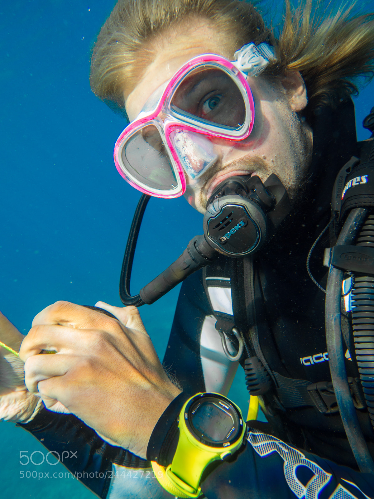 Olympus OM-D E-M10 sample photo. Diver close-up photography