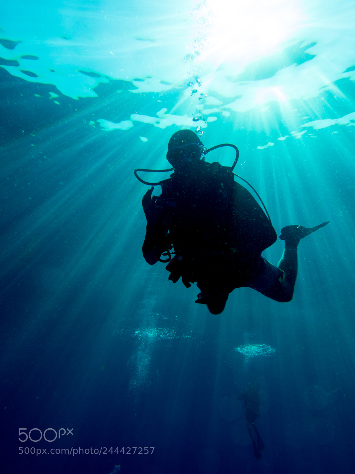 Olympus OM-D E-M10 sample photo. Diver silhouette photography