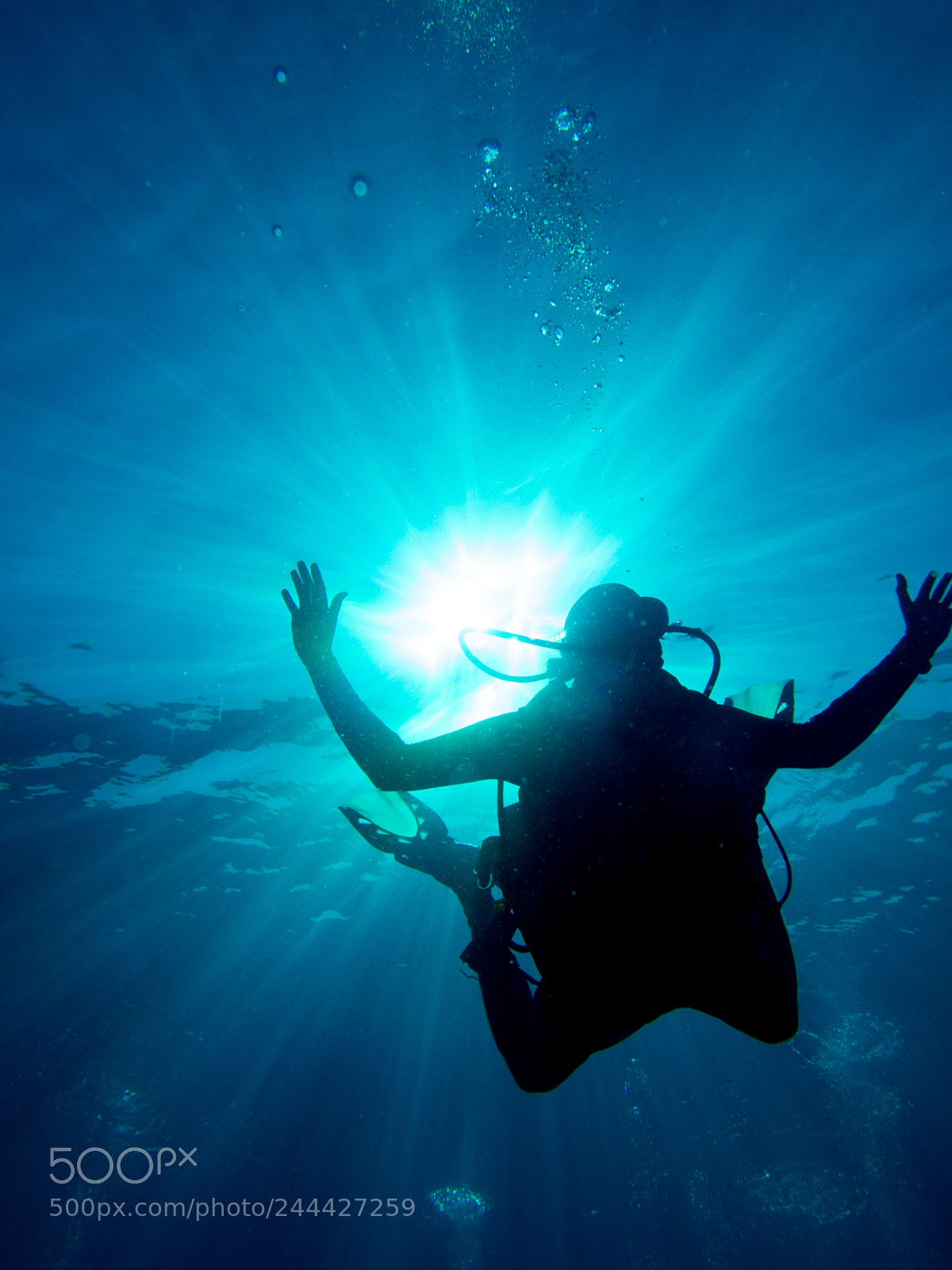 Olympus OM-D E-M10 sample photo. Diver descending to the photography