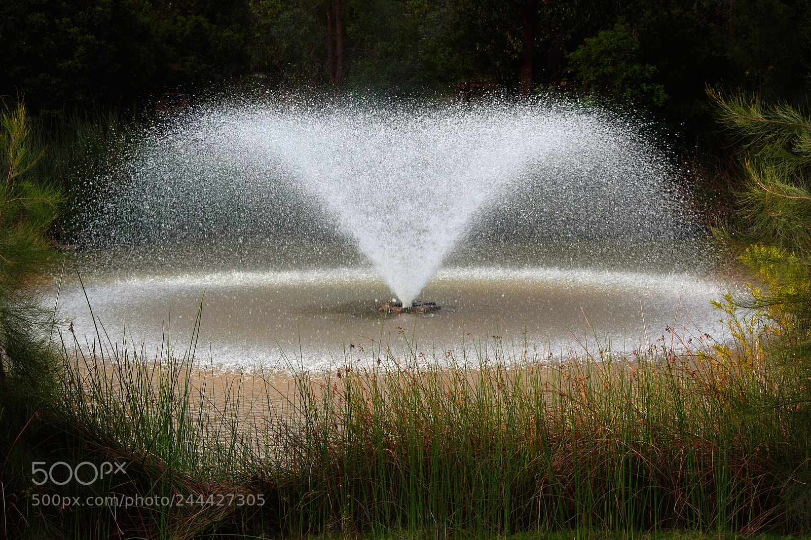 Pentax K200D sample photo. Aeration photography