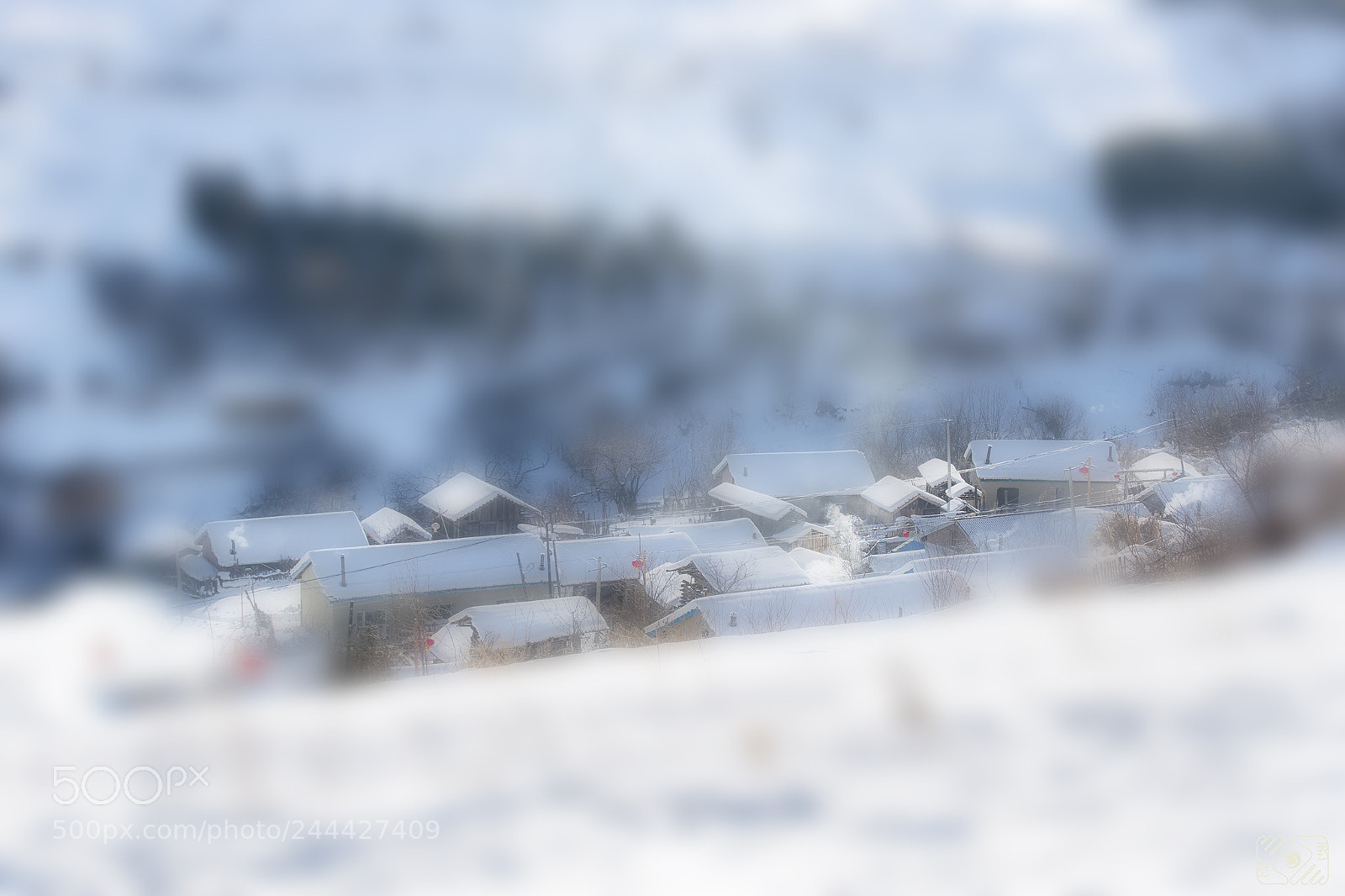 Canon EOS-1D X Mark II sample photo. Snow village photography