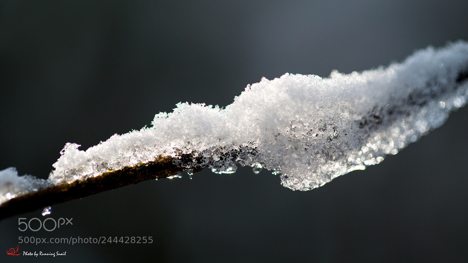 Canon EOS-1D X sample photo. Snow photography