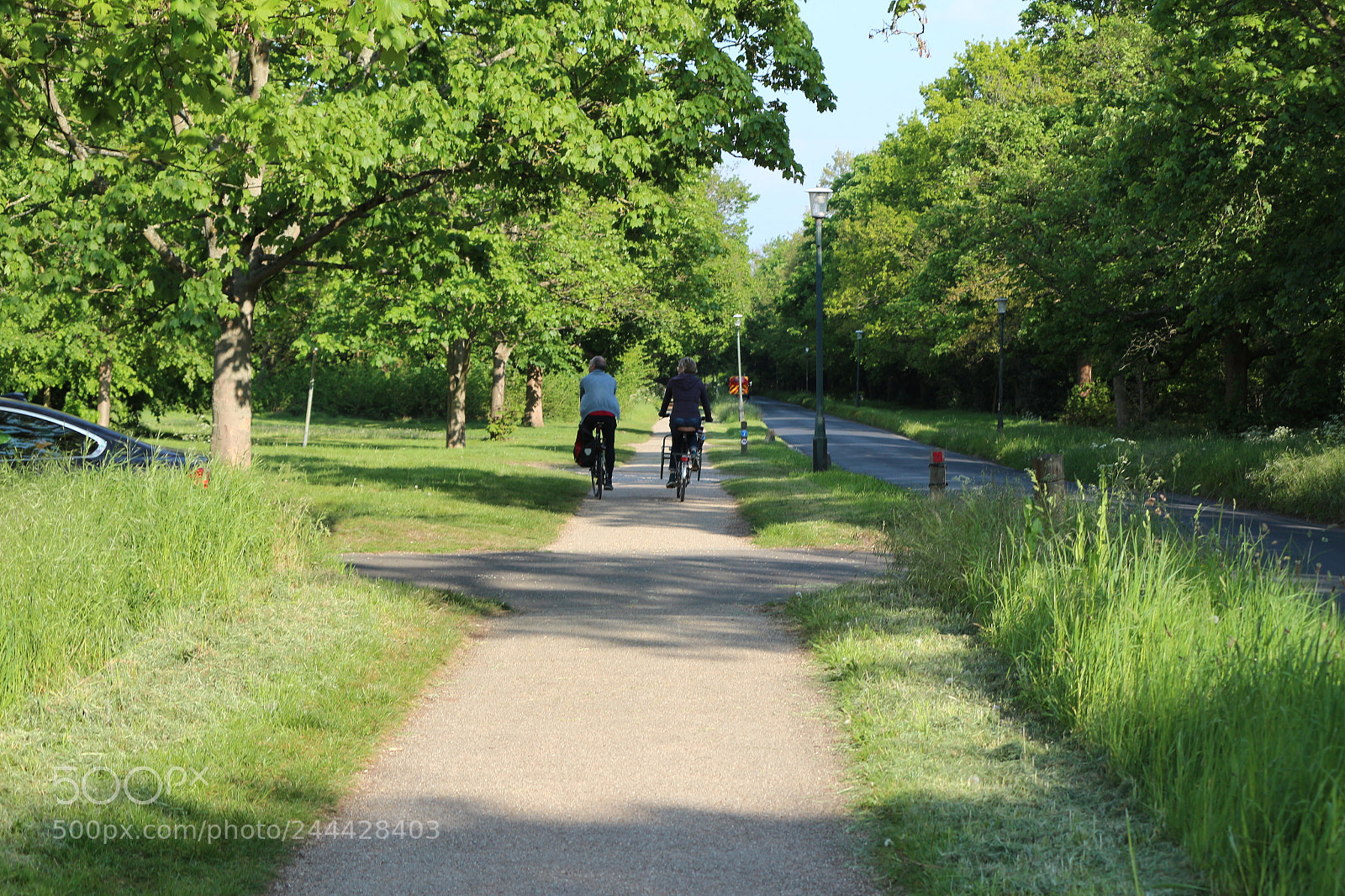 Canon EOS 650D (EOS Rebel T4i / EOS Kiss X6i) sample photo. Img photography