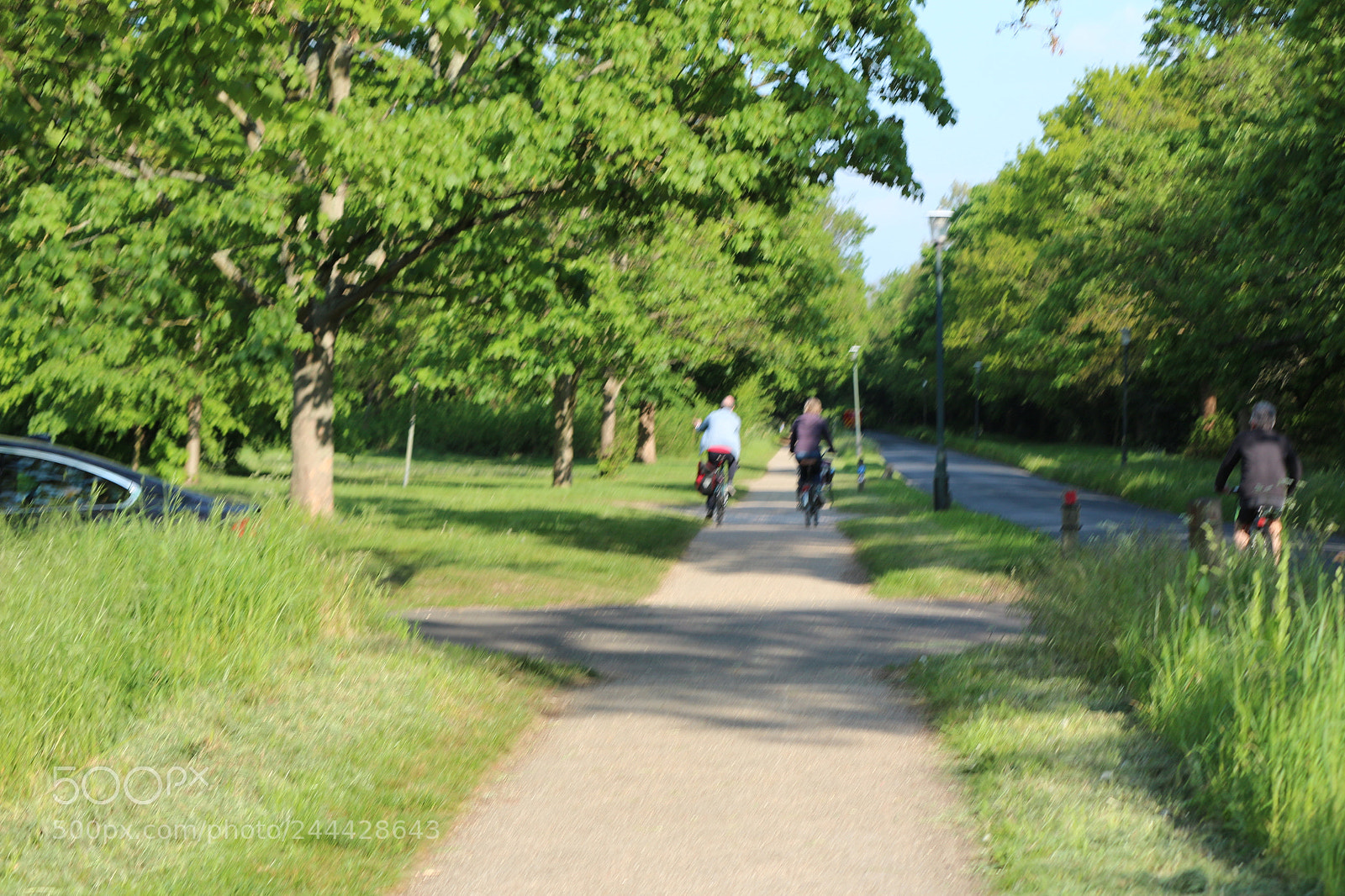 Canon EOS 650D (EOS Rebel T4i / EOS Kiss X6i) sample photo. Img photography