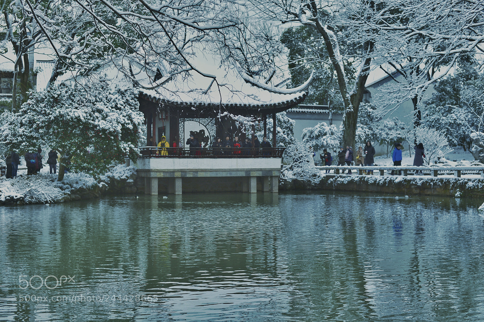 Nikon Df sample photo. 兰雪 photography
