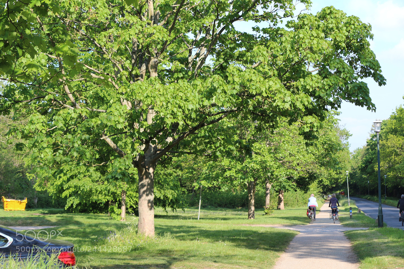 Canon EOS 650D (EOS Rebel T4i / EOS Kiss X6i) sample photo. Img photography