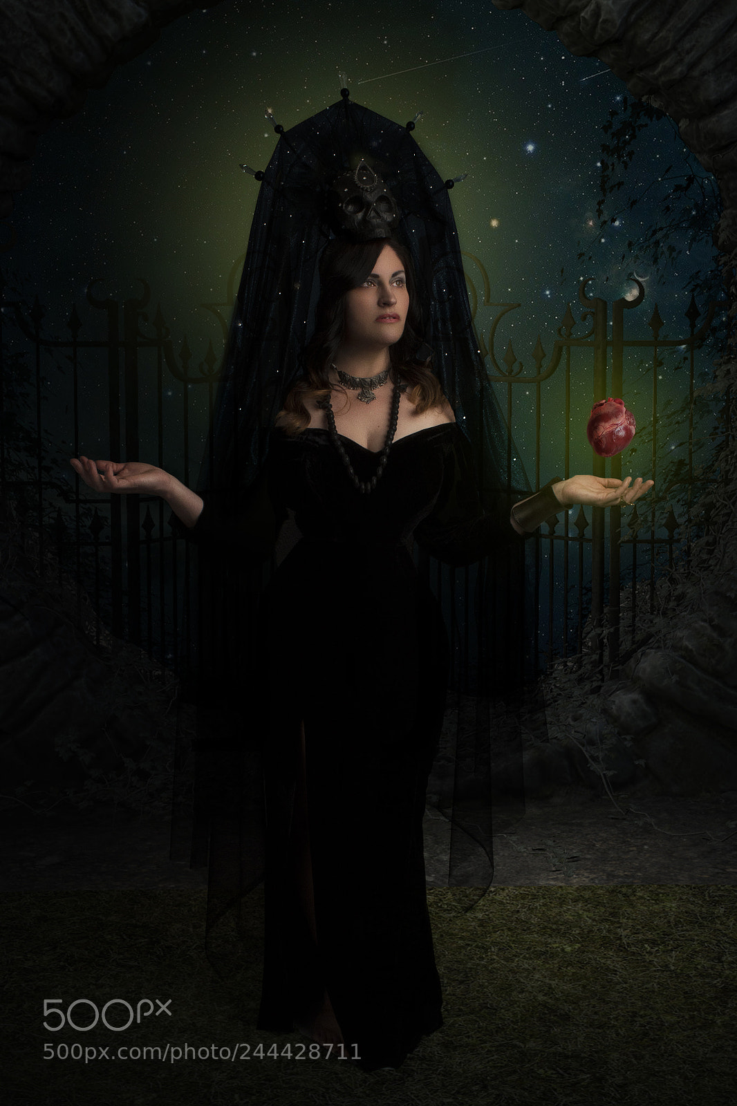 Nikon D810 sample photo. Perpetua photography