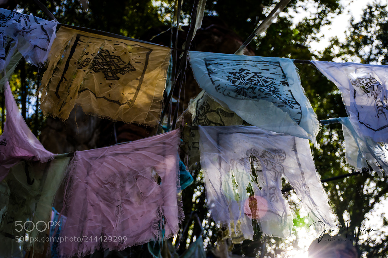 Nikon D7200 sample photo. Tattered photography