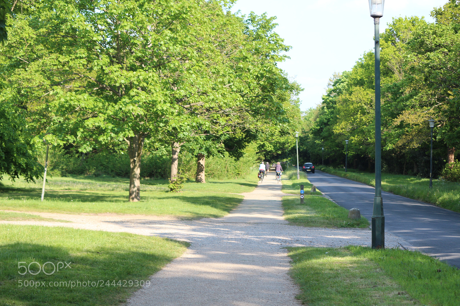 Canon EOS 650D (EOS Rebel T4i / EOS Kiss X6i) sample photo. Img photography