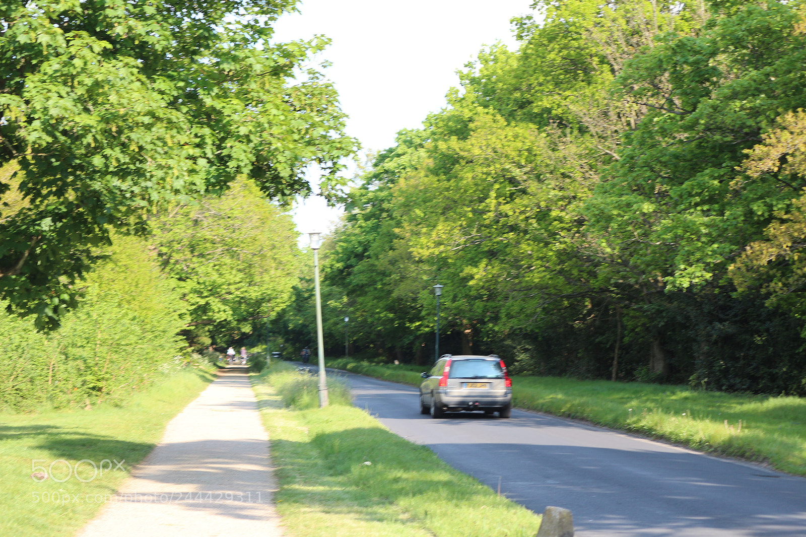 Canon EOS 650D (EOS Rebel T4i / EOS Kiss X6i) sample photo. Img photography