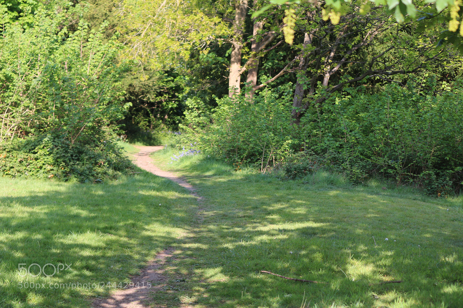 Canon EOS 650D (EOS Rebel T4i / EOS Kiss X6i) sample photo. Img photography