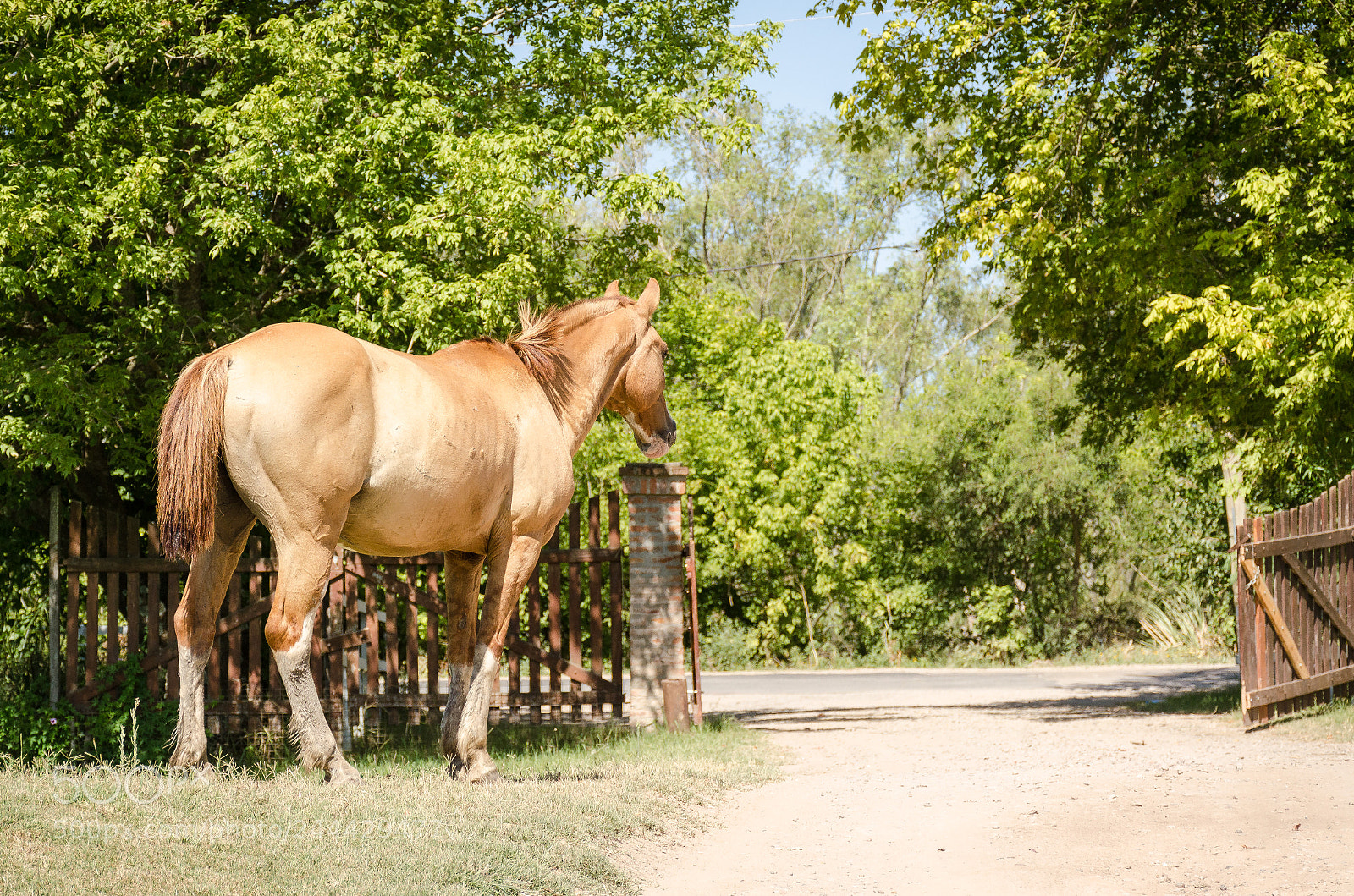 Nikon D5100 sample photo. He is going towards photography