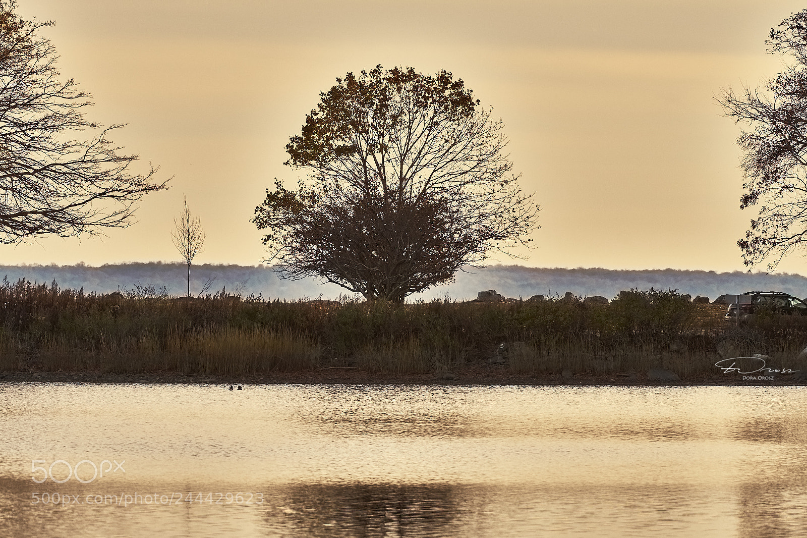 Nikon D500 sample photo. Foggy sunset photography